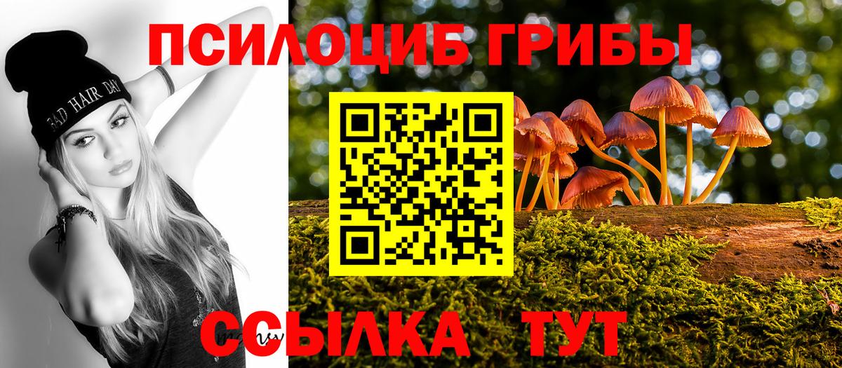 цена наркотик  Галлюциногенные грибы мицелий  Вход с VPN  Псков  Псилоцибиновые грибы GOLDEN TEACHER 