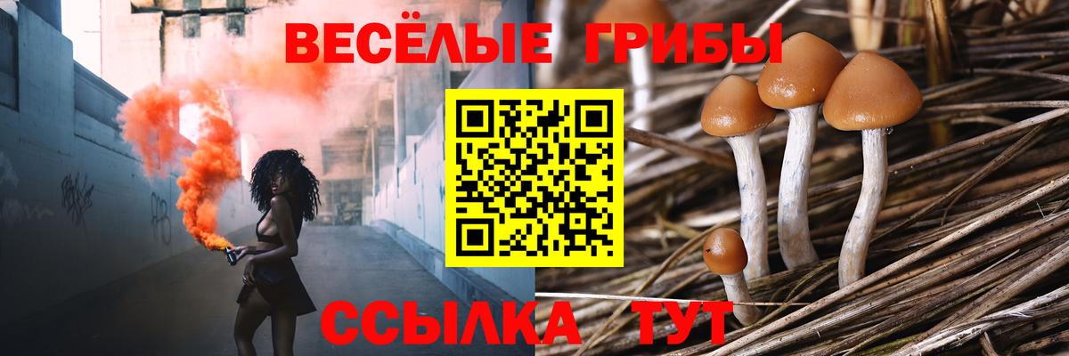 Галлюциногенные грибы прущие грибы Псков